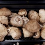 Shiitake mushrooms