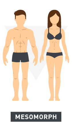 Mesomorph body type